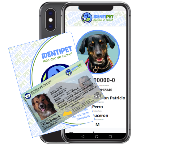 Nuestro Combo Inicio